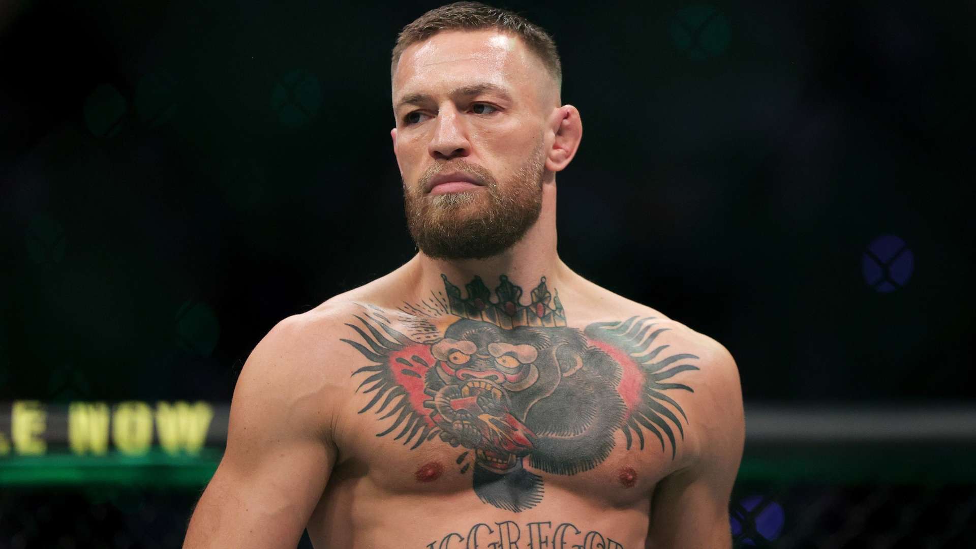 出色的表现 出色的表现